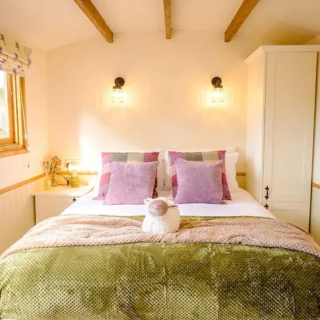 Lintmill Lodges - Thistle Shepherds Hut Sorn Esterno foto