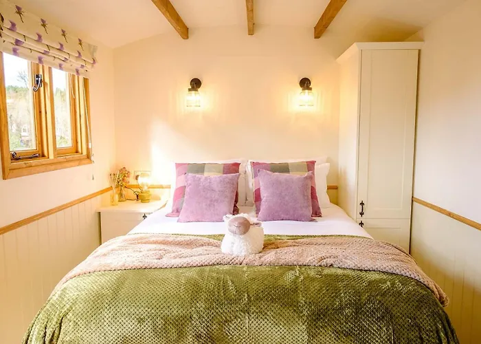 Lintmill Lodges - Thistle Shepherds Hut